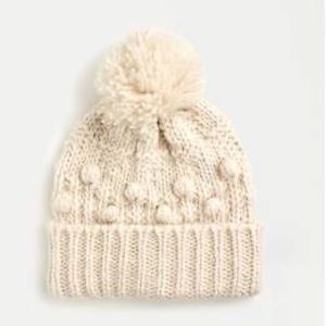 JCrew Chunky Knit Pom Pom Beanie